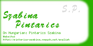 szabina pintarics business card